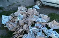 Краденые яйца
