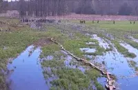 Мигранты на границе Беларуси и Польши
