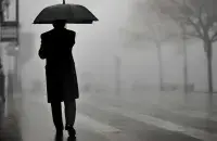 В ближайшие дни сохранится дождливая погода
