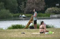 Лето в Беларуси
