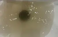 Вода в Новой Боровой
