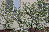 В апреле в Беларуси

