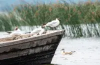 В Беларуси холодная погода
