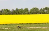 В мае в Беларуси
