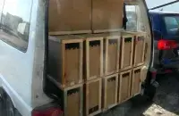 Пчел везли в микроавтобусе
