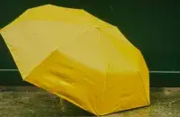 Зонт, иллюстративное фото
