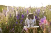 Май, иллюстративное&nbsp;фото
