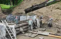 Дерево ждет консервация
