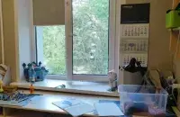 Окно было оснащено дополнительным блокирующим устройством
