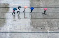 Дождь, иллюстративное фото

