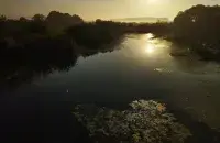 Лета
