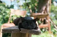 Лета, ілюстрацыйнае фота
