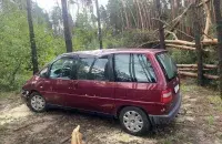 Под Зельвой дерево, поваленное ветром, убило женщину
