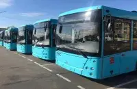 Автобусы, иллюстративное фото
