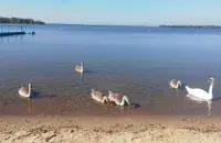 В сентябре в Беларуси
