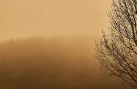 Достигнут ли тучи пыли до Беларуси?
