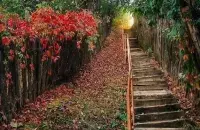 Осень в Беларуси
