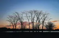 Осень, иллюстративное фото

