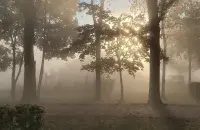 Туман в октябре
