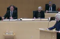 Swedish Parliament held a debate on granting asylum to Belarusian refugees
