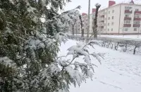 У лютым у Беларусі
