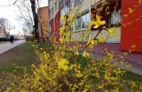 Весной в Беларуси
