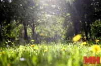 Грозы и жара. Погода в Беларуси на выходные
