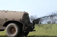 fertilizers
