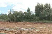 Тут было возера Кастрыцкае
