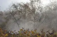 Осень, иллюстративное фото
