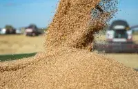 Владимир Наумов и его семья замешаны в схеме перепродажи украинского зерна с оккупированных районов
