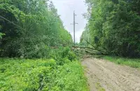 Последствия стихии на Минщине
