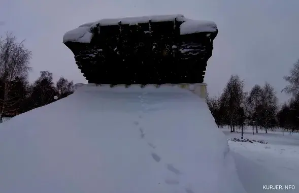 Следы кота-танкиста / kurjer.info

