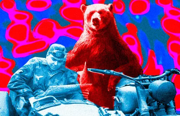 Войны влияют не только на жизни людей, но и на судьбы животных / коллаж Влада Рубанова
