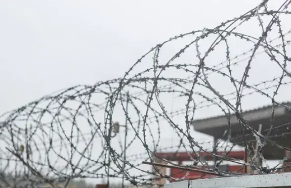 Чакаецца, што амністыя закране 8,5 тысячы чалавек / БЕЛТА
