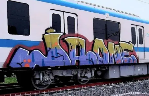 Размаляваны вагон / e.vnexpress.net
