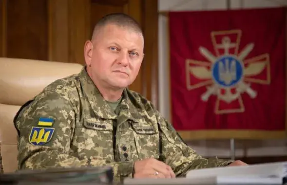 Валерий Залужный / interfax.com.ua
