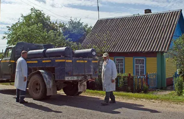 Беларусь забараніла ўвоз свініны з пяці рэгіёнаў Расіі