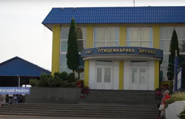 Птицефабрика "Дружба" / СТВ