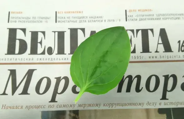 Главный редактор "БелГазеты": конфликт не исчерпан