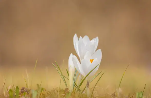 Якім будзе надвор'е? / pixabay
