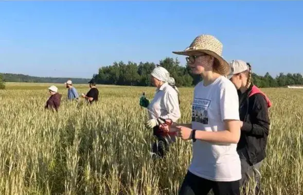 Настаўнікі на праполцы палёў / instagram.com/school_polese
