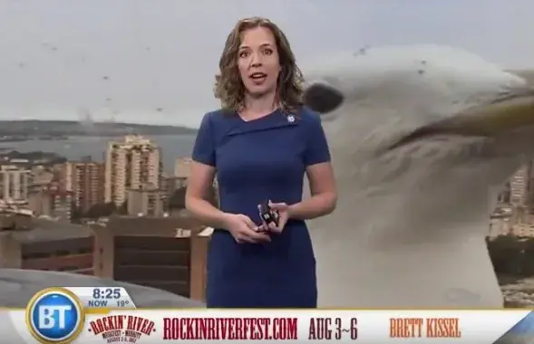 Фото: скриншот с видео​
