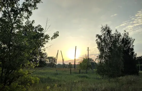 Беларускі лес