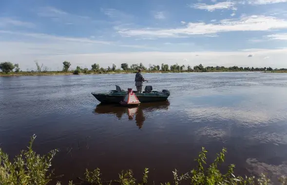 Рыбак вудзіць рыбу на Прыпяці / Андрэй Лянкевіч / Еўрарадыё
