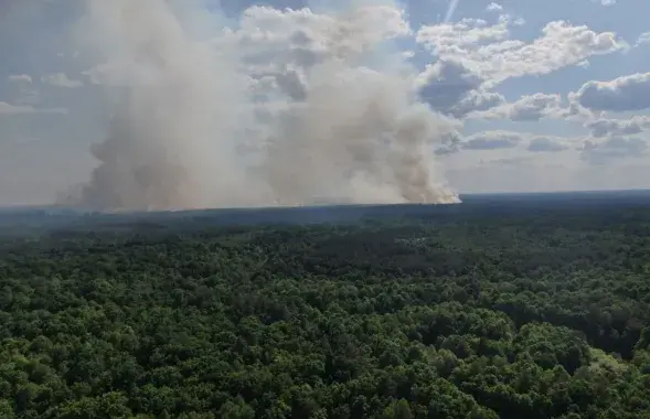 Пажары ва ўкраінскіх лясах / прэс-служба Мінлясгасу
