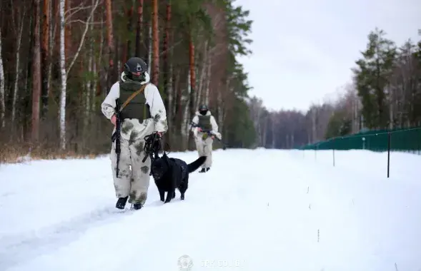 Беларускія памежнікі / t.me/gpkgovby, ілюстрацыйнае фота
