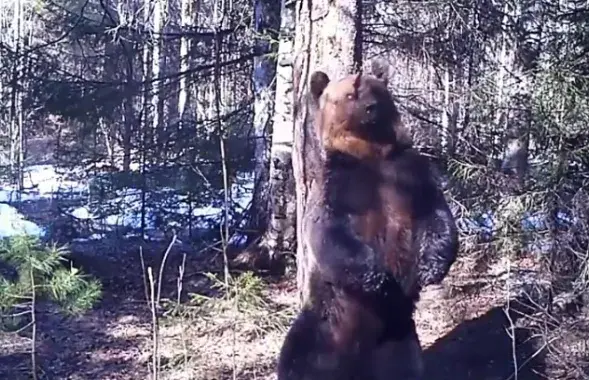 Фото: скриншот с видео