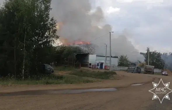 Пожар в Смолевичском районе / кадр из видео МЧС
