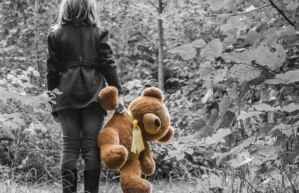 В Гродно задержали педофила / pixabay.com
